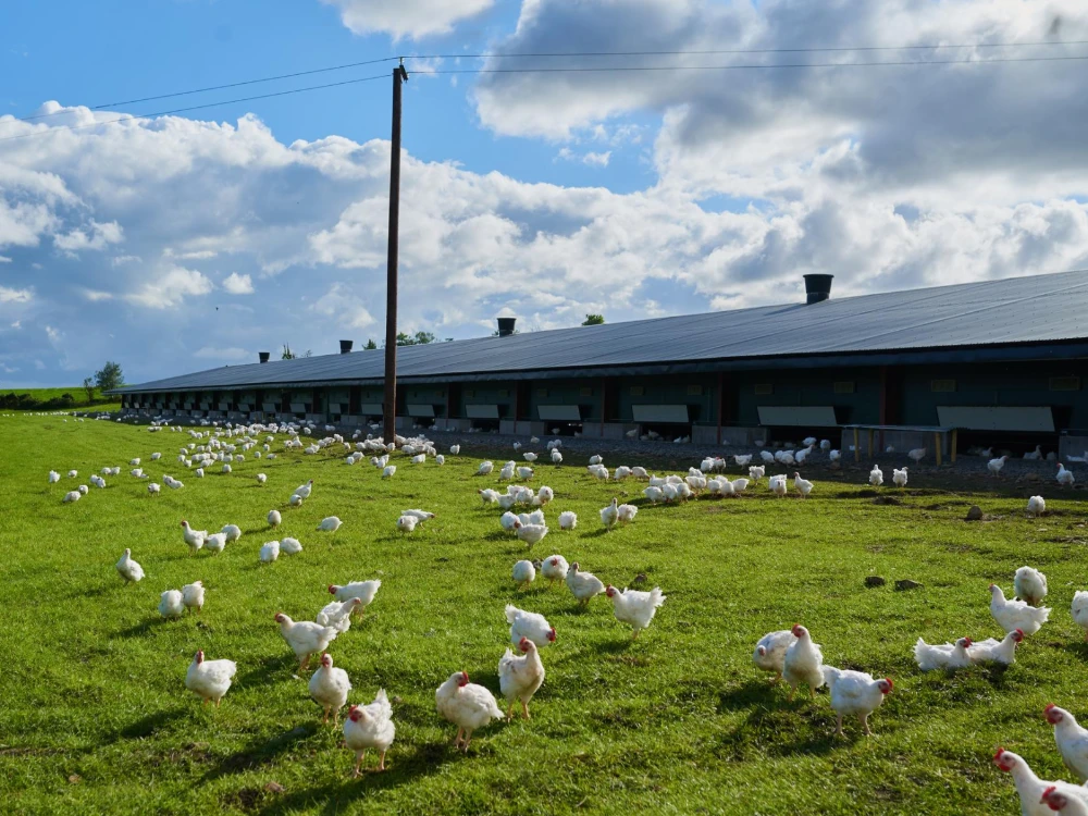 Agriculture